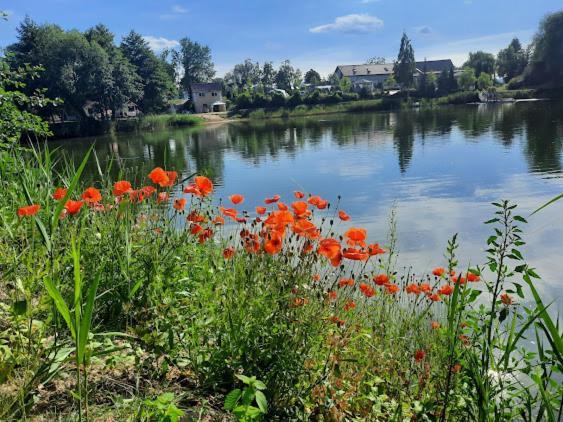 Forteca, Pokoje Goscinne Nad Stawem Dzierżoniów Exteriör bild