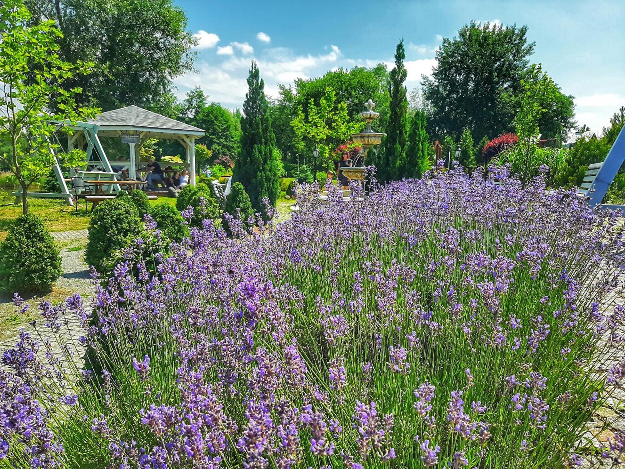 Forteca, Pokoje Goscinne Nad Stawem Dzierżoniów Exteriör bild